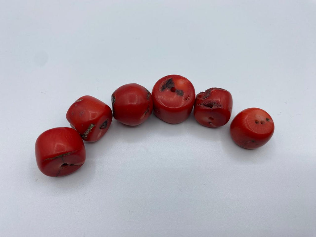 Coral 6 Pcs LOT 240+ Carats