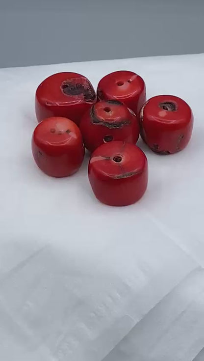 Coral 6 Pcs LOT 240+ Carats